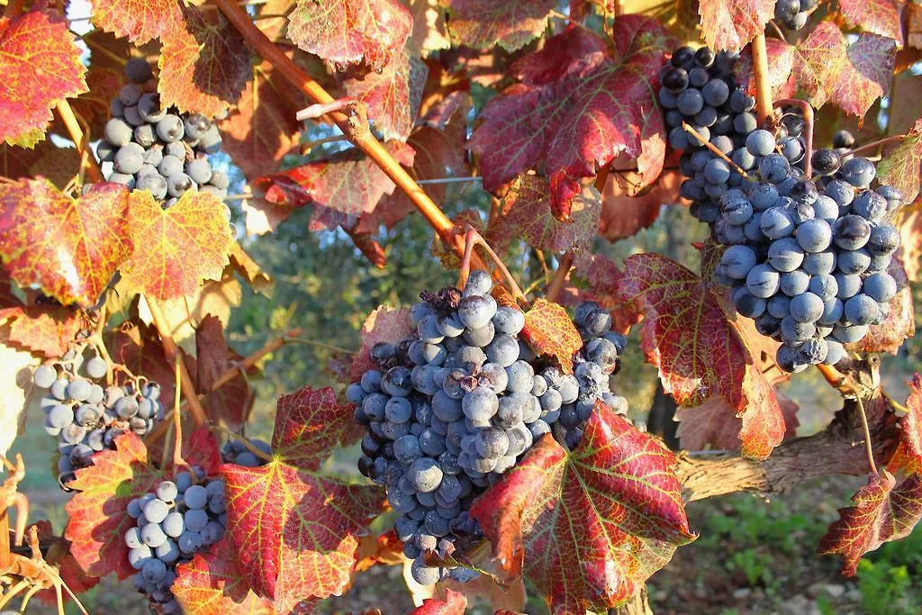 Locanda Le Piazze Castellina in Chianti 4*,  Italy